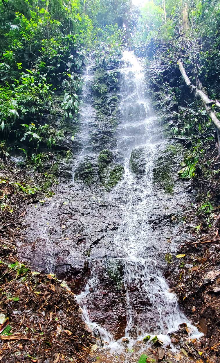 Cascada Sofia