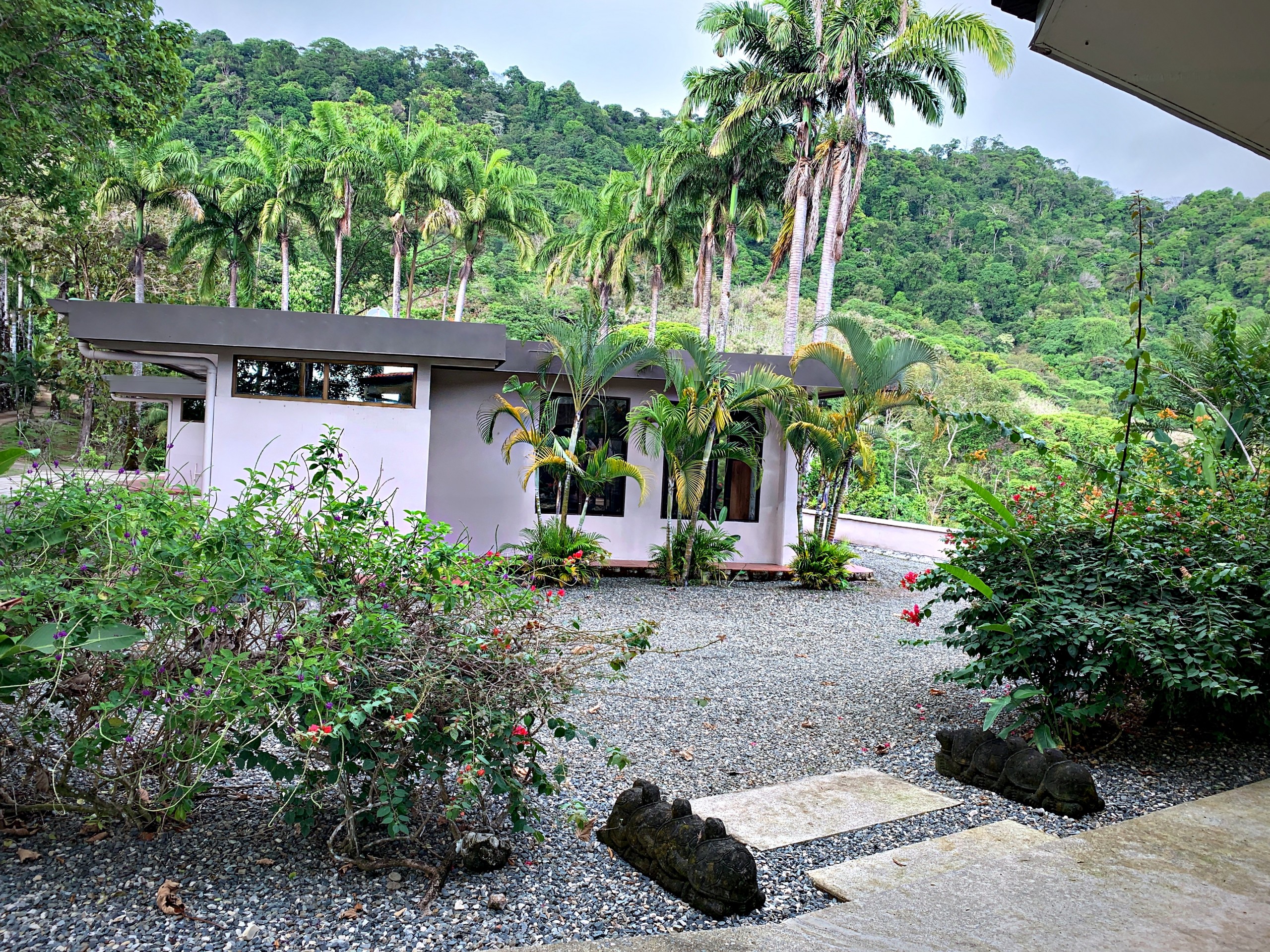 View from Main House
