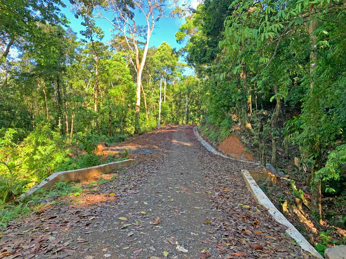 Hiking