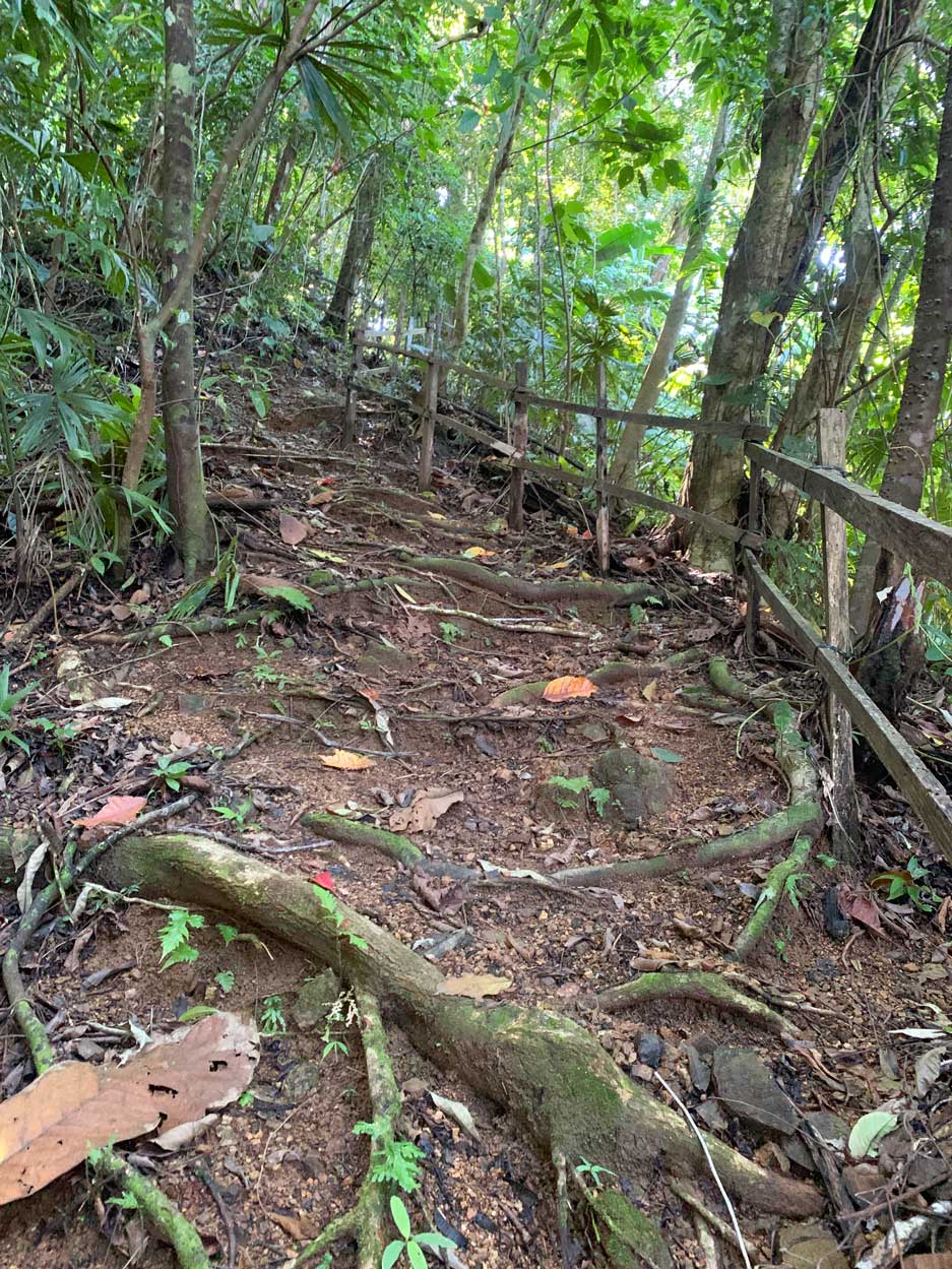 Hiking