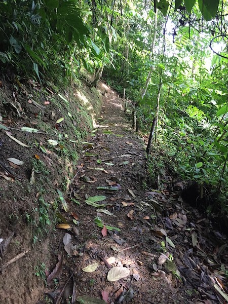 Hiking