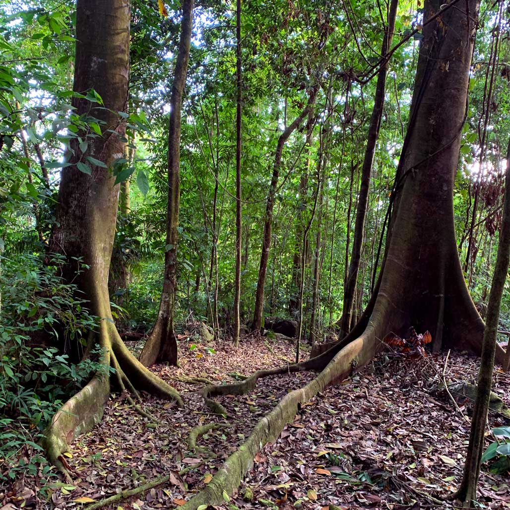 Hiking