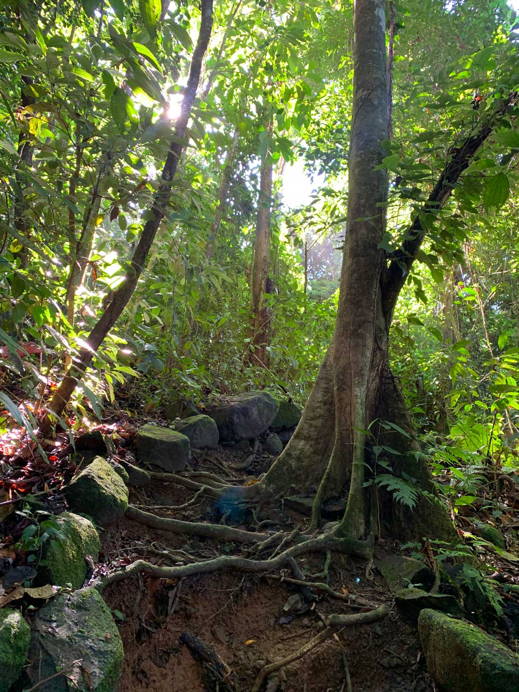 Hiking