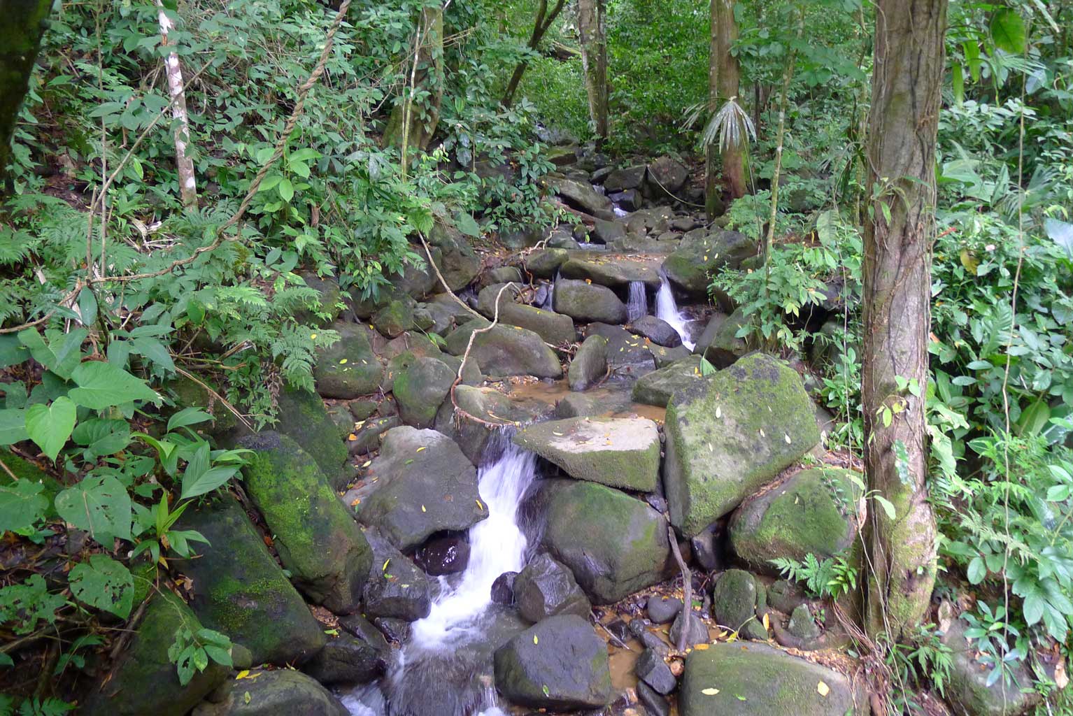 Hiking