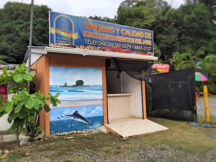 Fish Stand