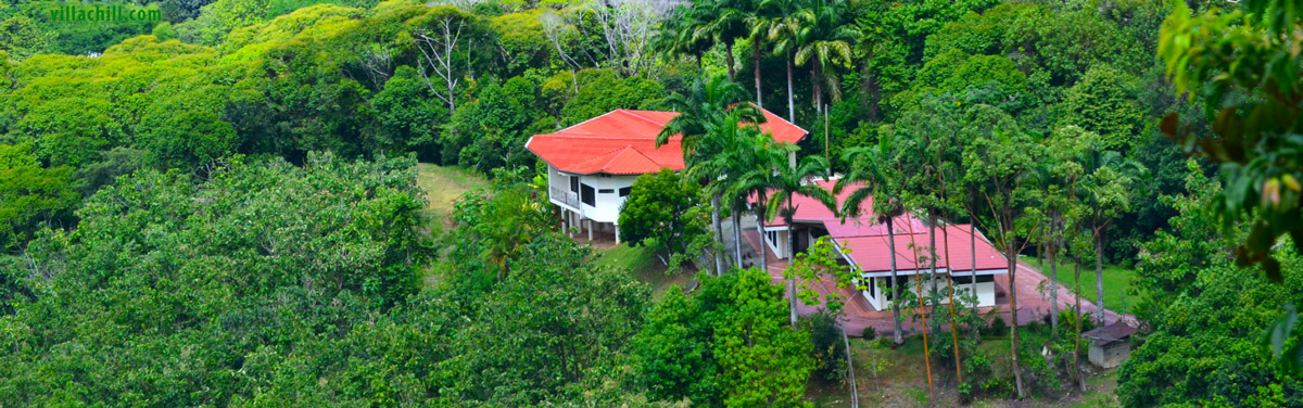 Selva Escondida hillside property