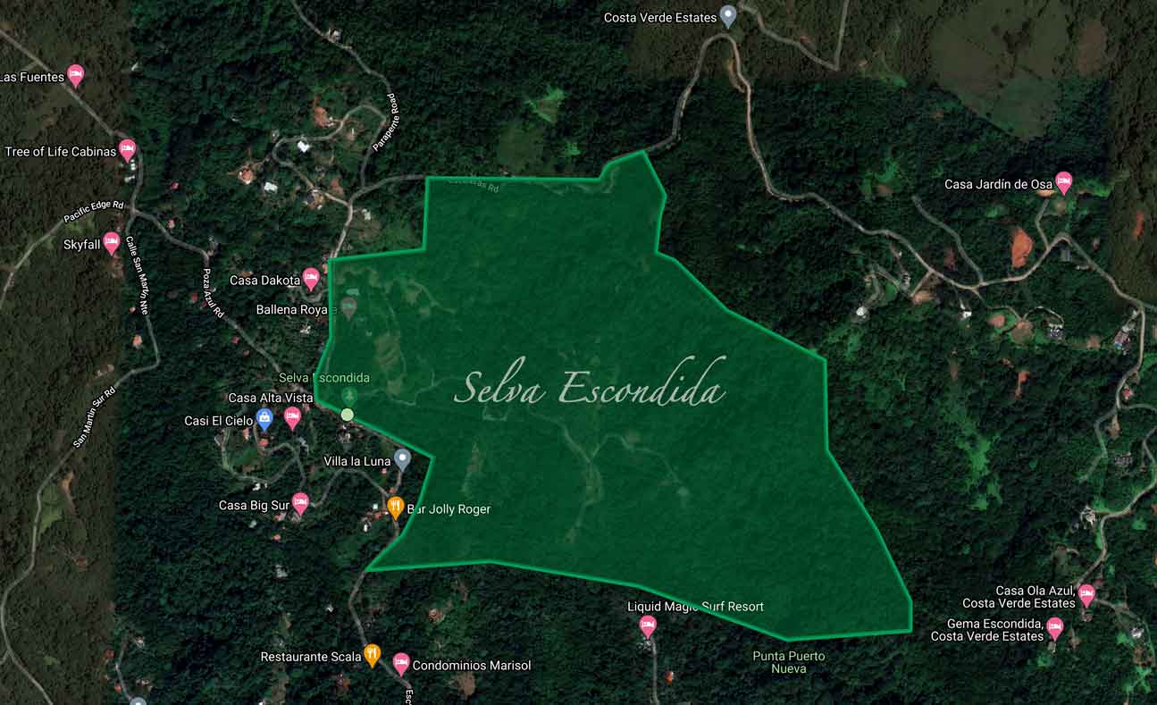 Selva Escondida area map