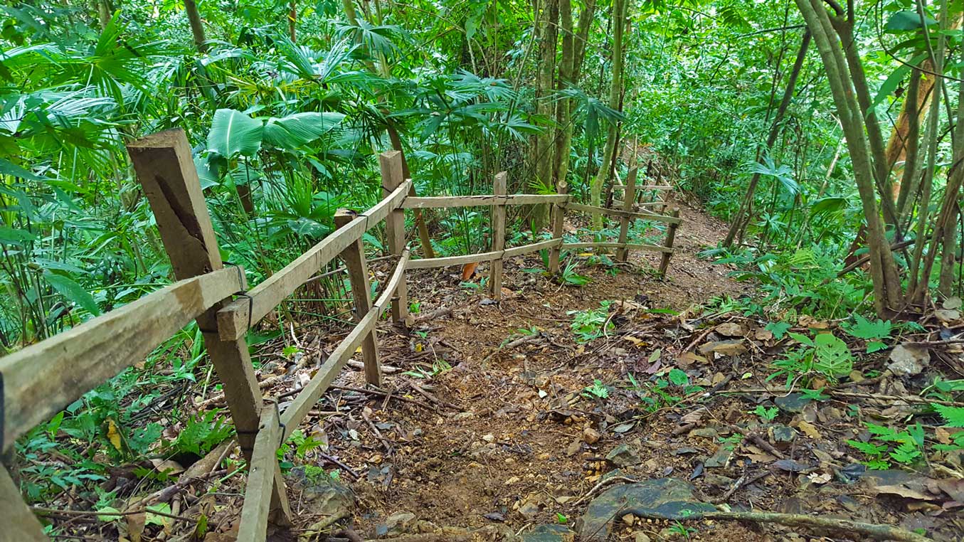 Trail with hardwood railings