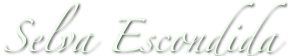 Selva Escondida