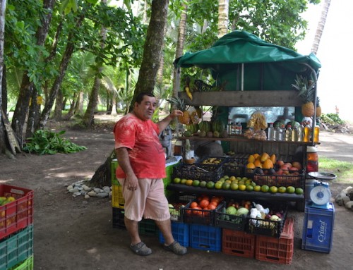 Fruits Vendor